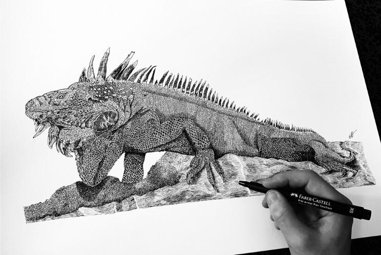 Iguane